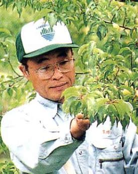 収穫作業