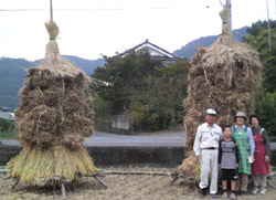 わら積みの後に